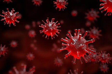 Image of the coronavirus
