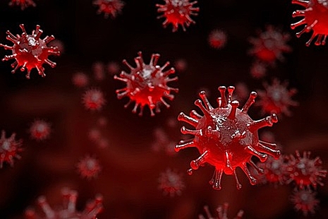 A coronavirus image.