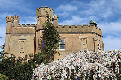 A tower with battlements behind a blossom-covered tree