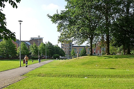 People walking through green space