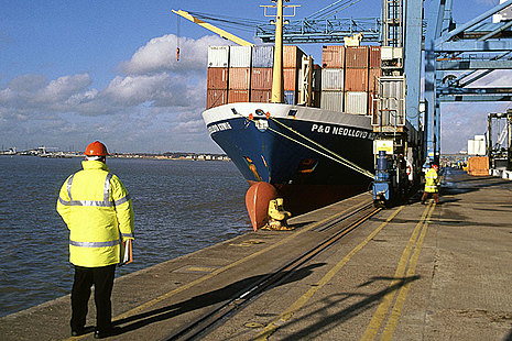 Container ship docked at a port.