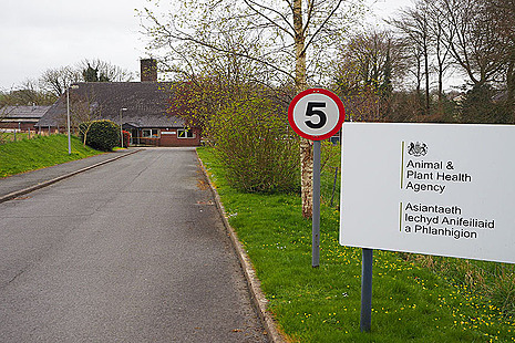 Veterinary Investigation Centre