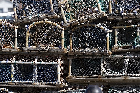 Lobster pots