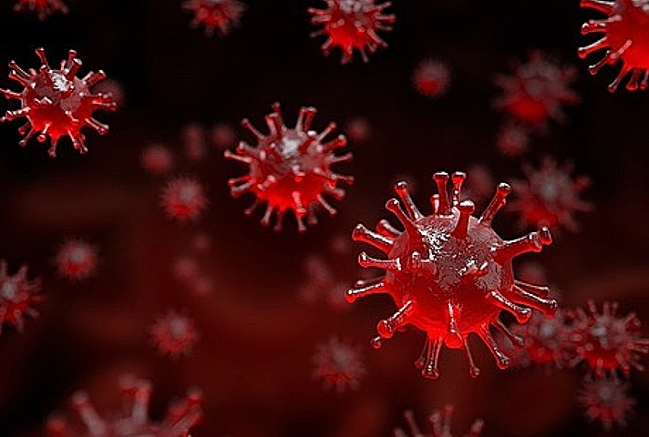 Image of a virus