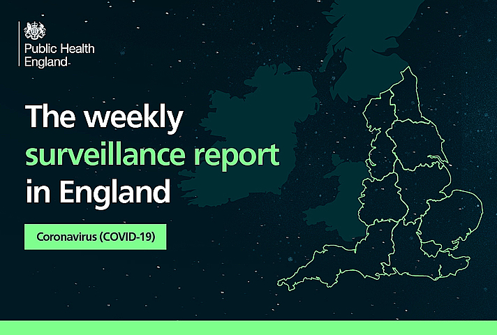 Surveillance report