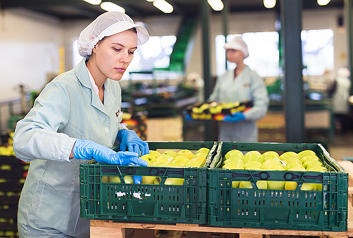 Workers packing fruit in warehouse