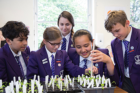 Children taking part in Rocket Science experiment. Credit: RHS