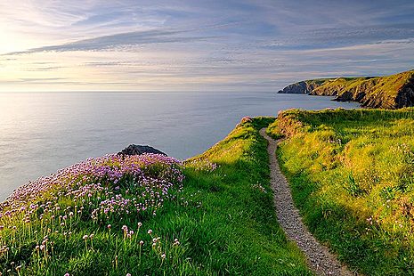 Coastal view out to sea