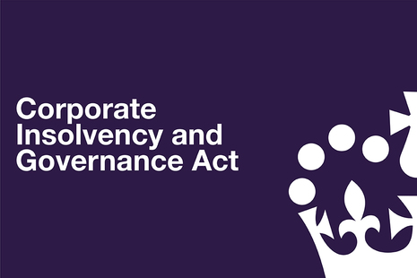 Companies House Gov Uk