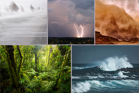 Images depicting differing environments