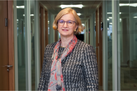 Amanda Spielman_HMCI