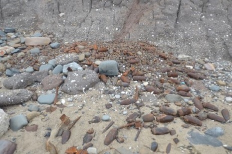 Cowden beach closed for safety reasons.