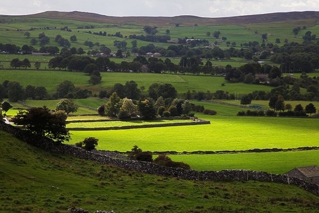 Countryside view