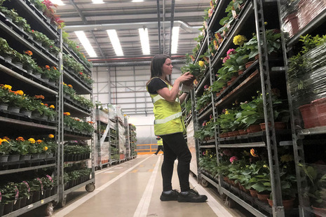Plant Health and Seeds Inspector