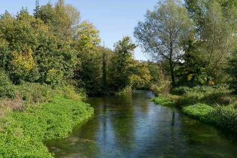 river
