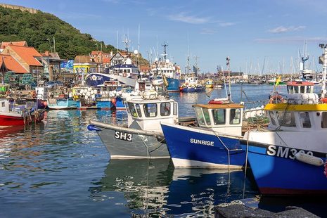 fishing boats moored together