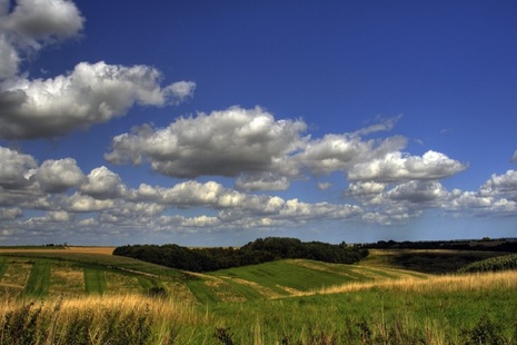 Fields