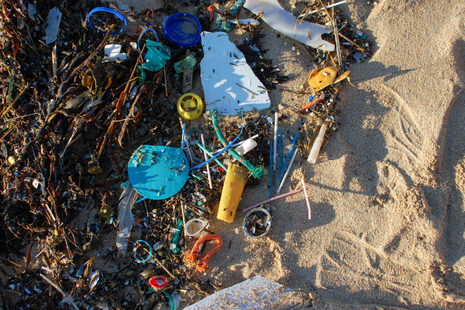 Beach litter