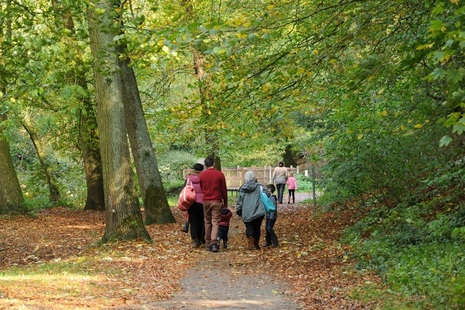 People walking in a woodland (copyright Natural England)
