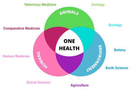 One Health Day