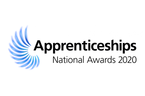 The National Apprenticeship Awards 2020 logo.