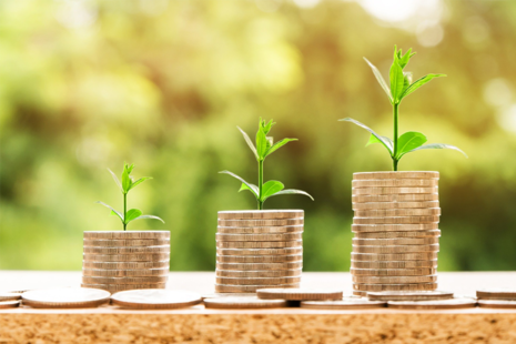 Three stacks of coins with small plants growing behind them.