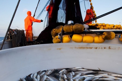 Fishermen in orange jackets at sea with bucket full of fish
