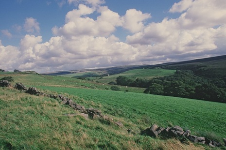 Green fields. Credit: Natural England.