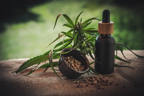 CBD container and cannabis plant