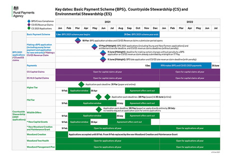 Key dates visual- details on HTML page