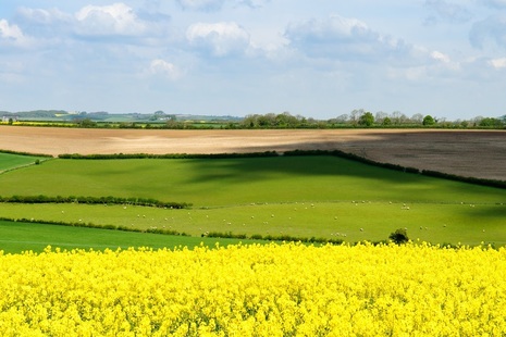 Image of countryside landscape