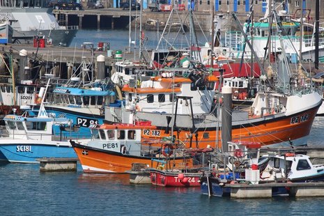 Fishing boats