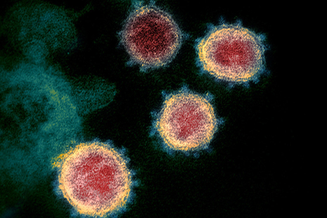 images of cells
