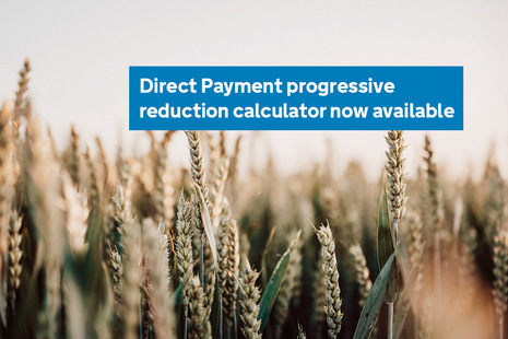 Direct Payment progressive reduction calculator now available