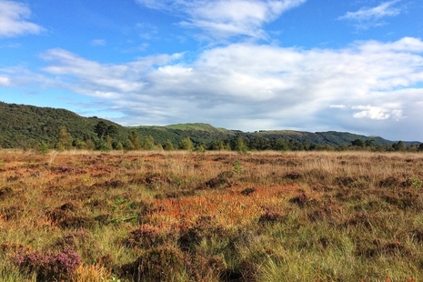 Roudsea lowland with a blue sky and clouds.