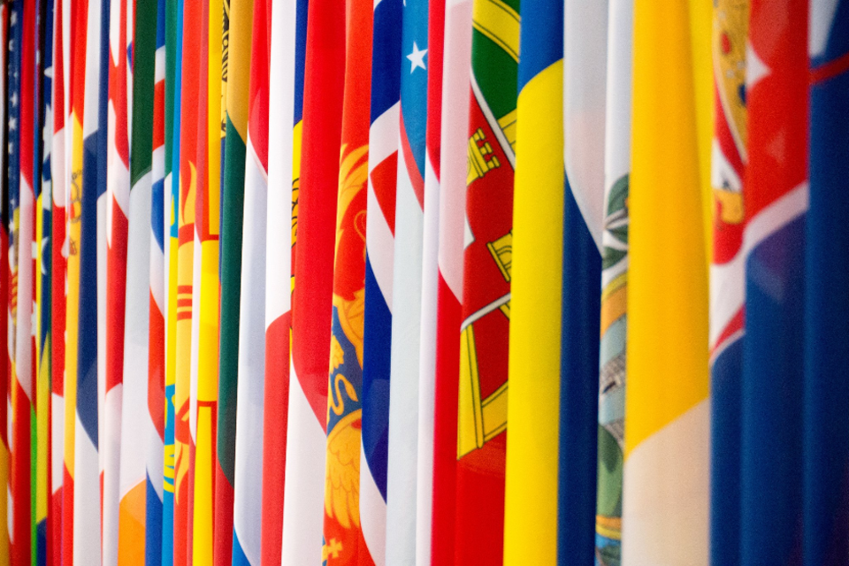 Head of the OSCE mission to Moldova: UK response - Vimarsana News