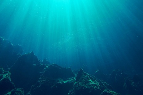 Underwater in the ocean