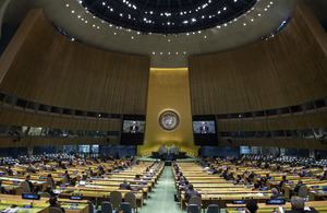 UN General Assembly (UN Photo)