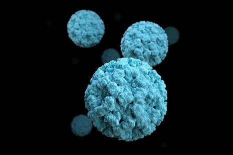 Norovirus