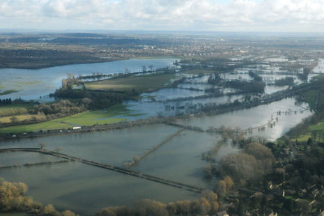 Flooded fields