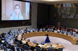UN Security Council