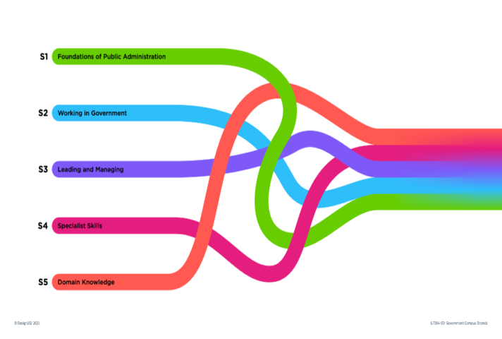 На изображении показаны 5 отдельных направлений раздела «Навыки государственного управления и учебная программа», объединенные в одно.