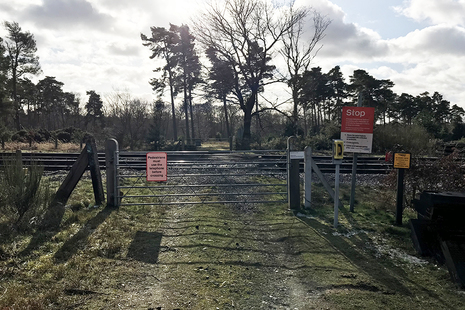 Forestry user worked crossing (image courtesy of Network Rail)