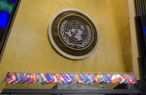 UN General Assembly
