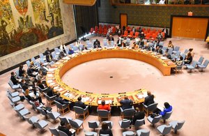 UN Security Council