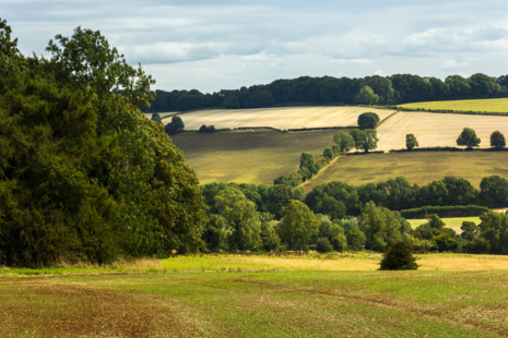 Countryside