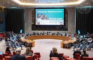 UN Security Council