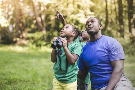 A child holds a pair of binoculars and is looking at the woodland around her with an older man and another young boy behind her. They are looking at something up high.