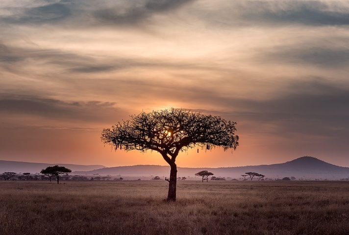 Sub-Saharan Africa View