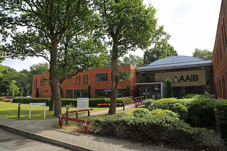 Front of branch